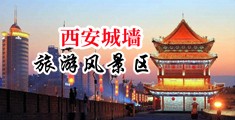 小鸡巴插逼视频无码中国陕西-西安城墙旅游风景区